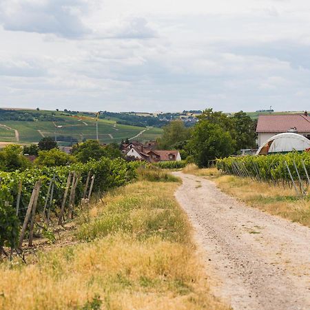 Appartment In Den Weinbergen Bei Mainz - Mit 2X Doppelzimmern, 1X Grosses Wohnzimmer, Bad & Kueche Stadecken-Elsheim Ngoại thất bức ảnh
